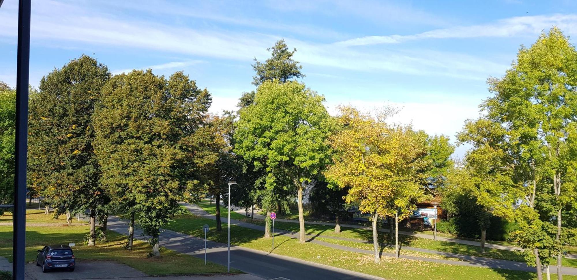 Stadtdomizil Am Binnensee, Haus Bellevue Heiligenhafen Eksteriør billede